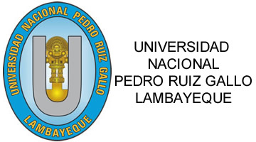 universidad nacional pedro ruiz gallo